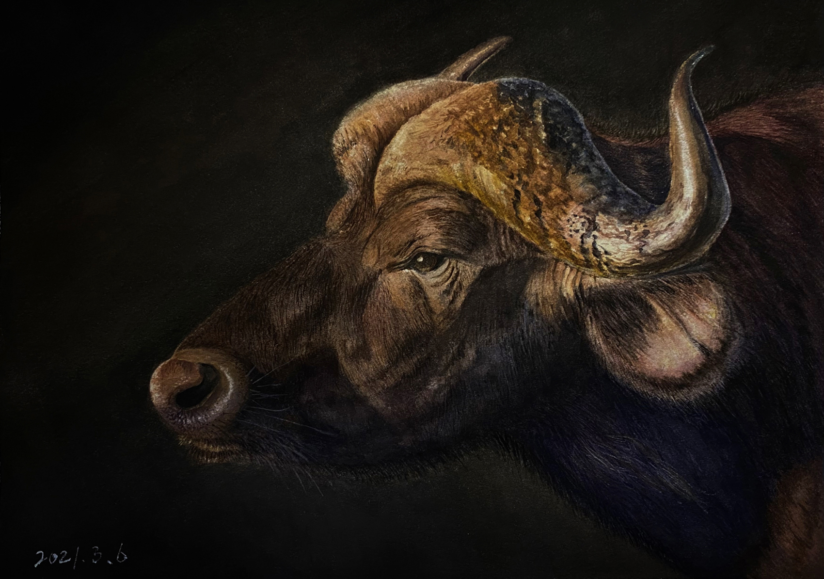 牛的绘画作品欣赏图片