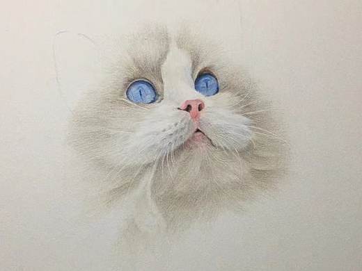 花猫脸（个人主页-ZNTYwMzYxNzI=） - 绘画 - 站酷设计师才子喜欢画猫原创素材 - 站酷ZCOOL