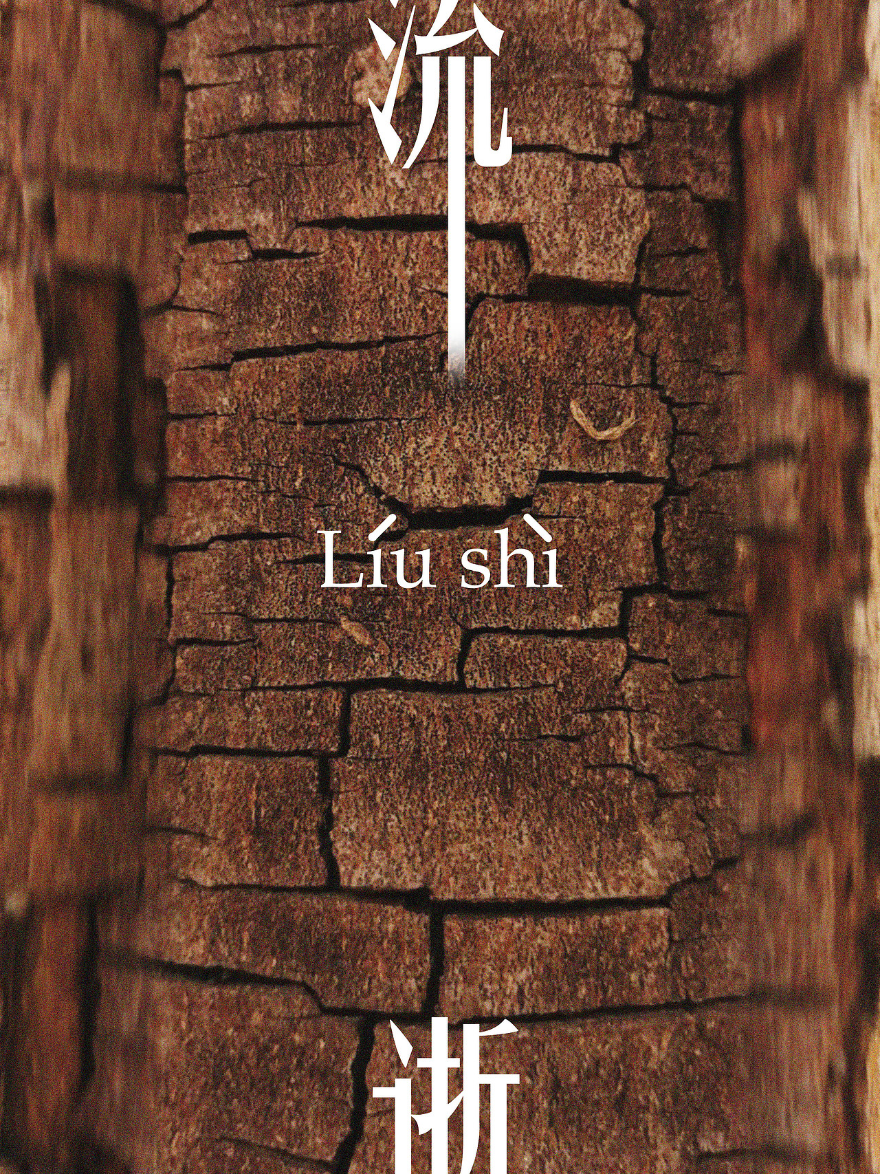 树干 岩石 枯草 朽木 /微观语言/