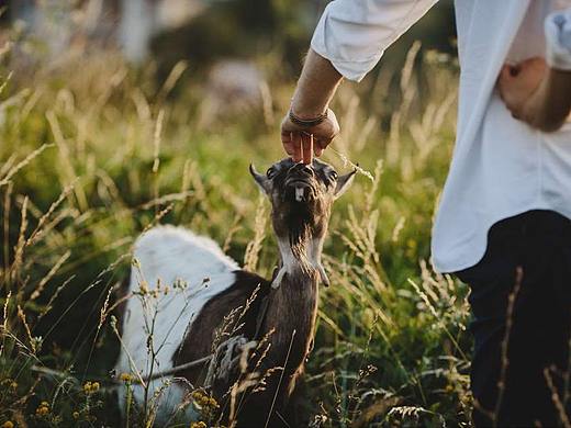 攝影審美提升書籍推薦