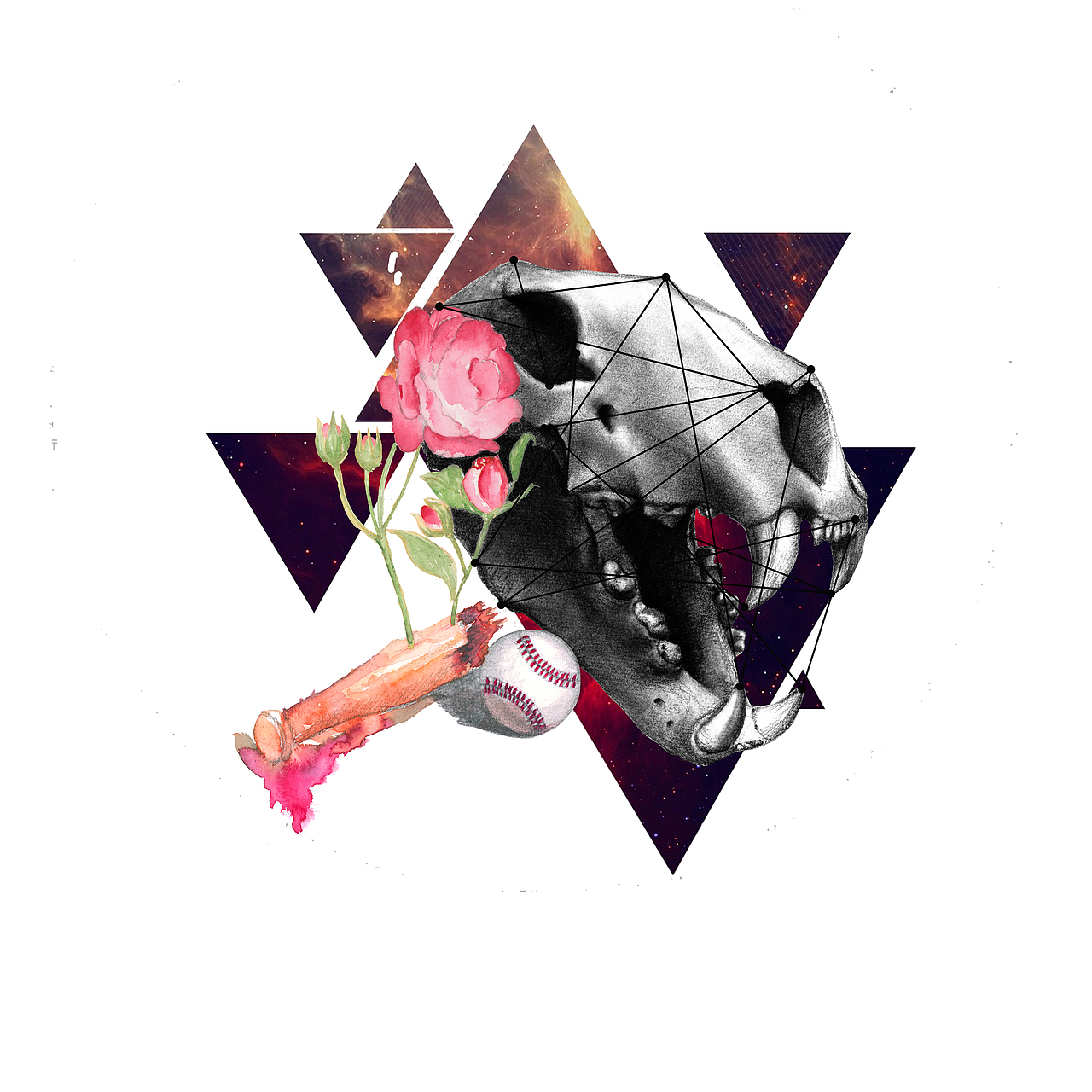 猎豹棒球俱乐部