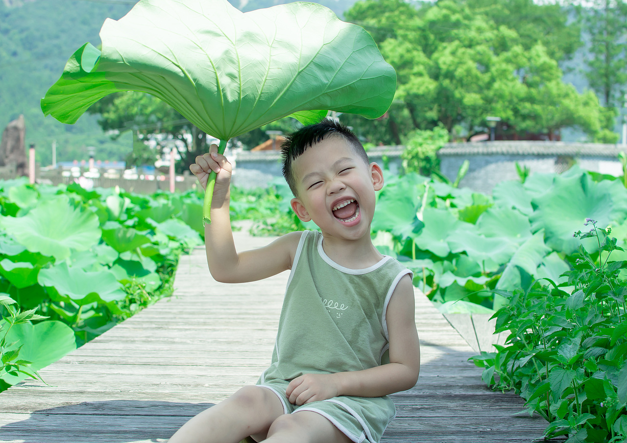 荷叶与小童