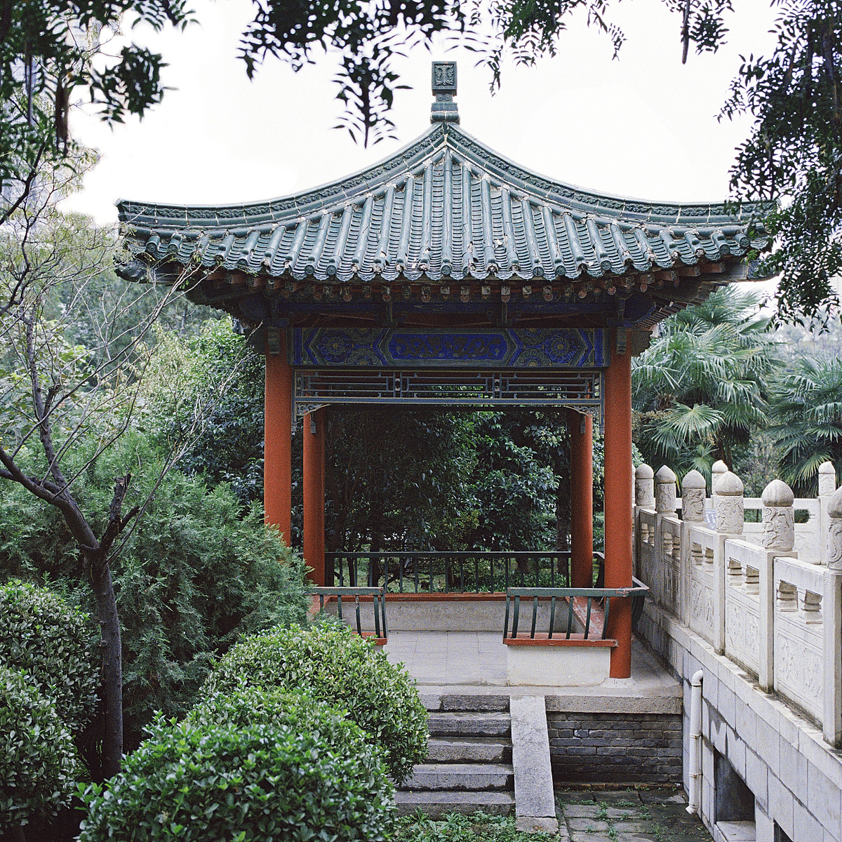红寺锦鲤（图ZMTg2OTkxMDA4） - 人像摄影 - 站酷设计师谷小白Guuugu原创素材 - 站酷ZCOOL