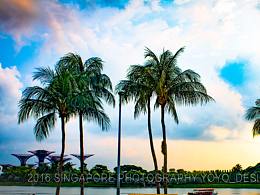 新加坡 · 马来西亚之旅