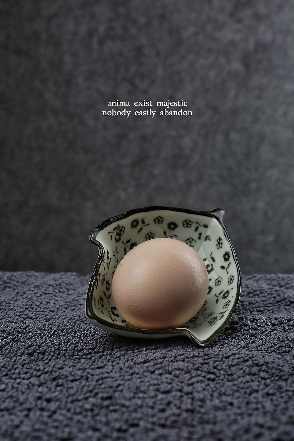 鸡蛋摄影-个人摄影集