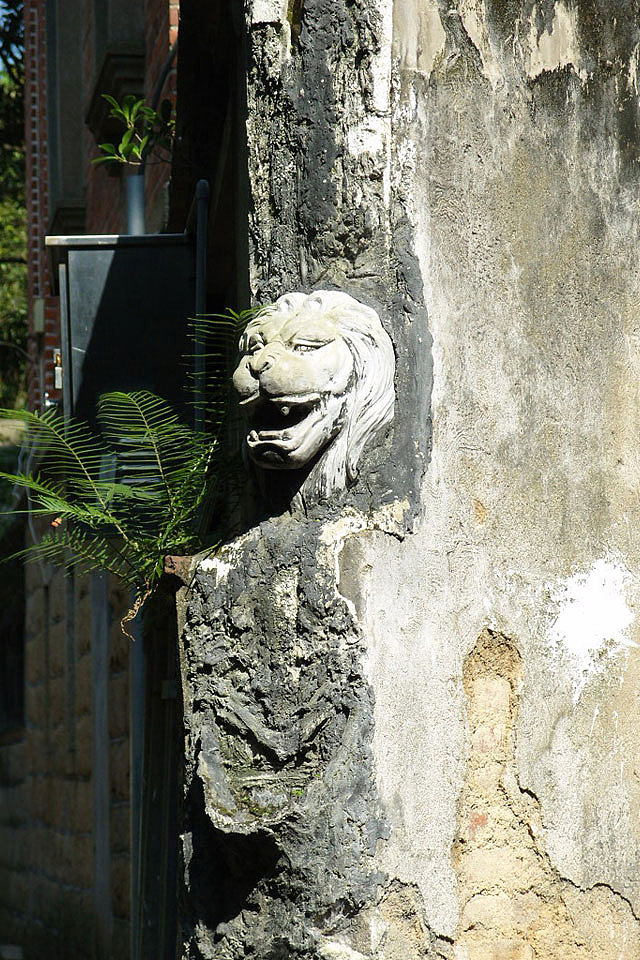 狮头——鼓浪屿