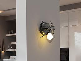 亞馬遜蜘蛛壁燈圖集