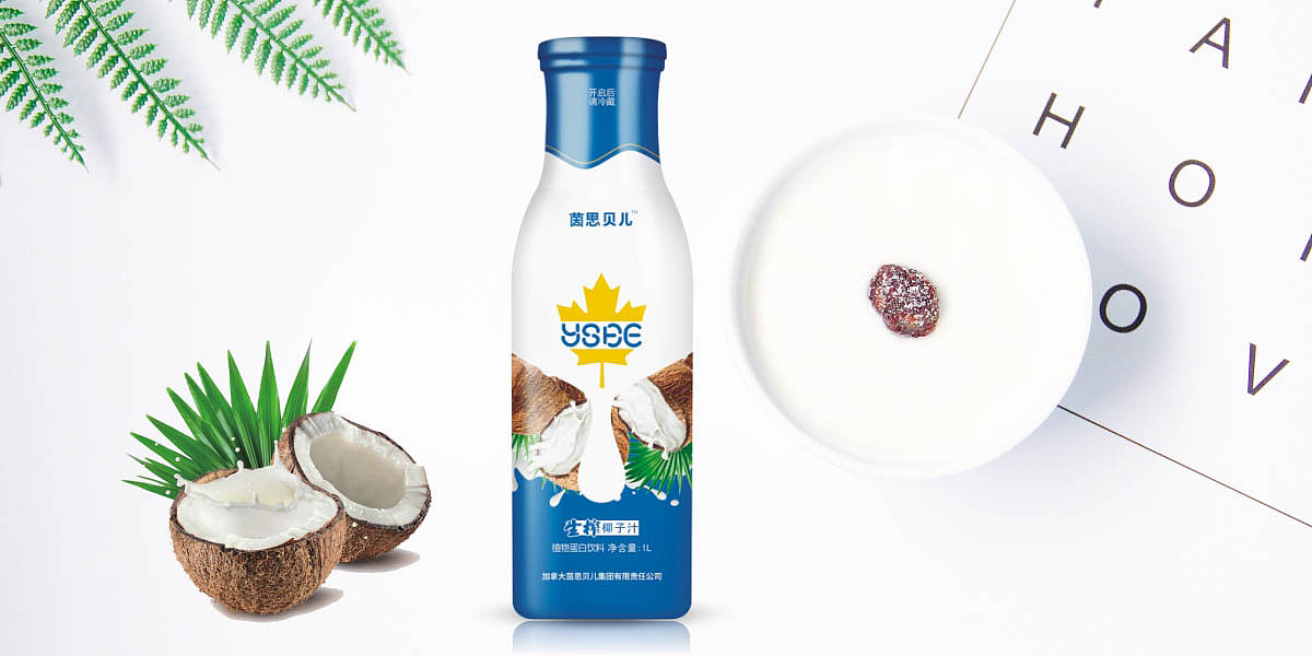 椰子汁包装设计 植物蛋白饮料包装设计 玻璃瓶装饮料包装设计 椰汁礼盒包装设计 饮料品牌包装设计