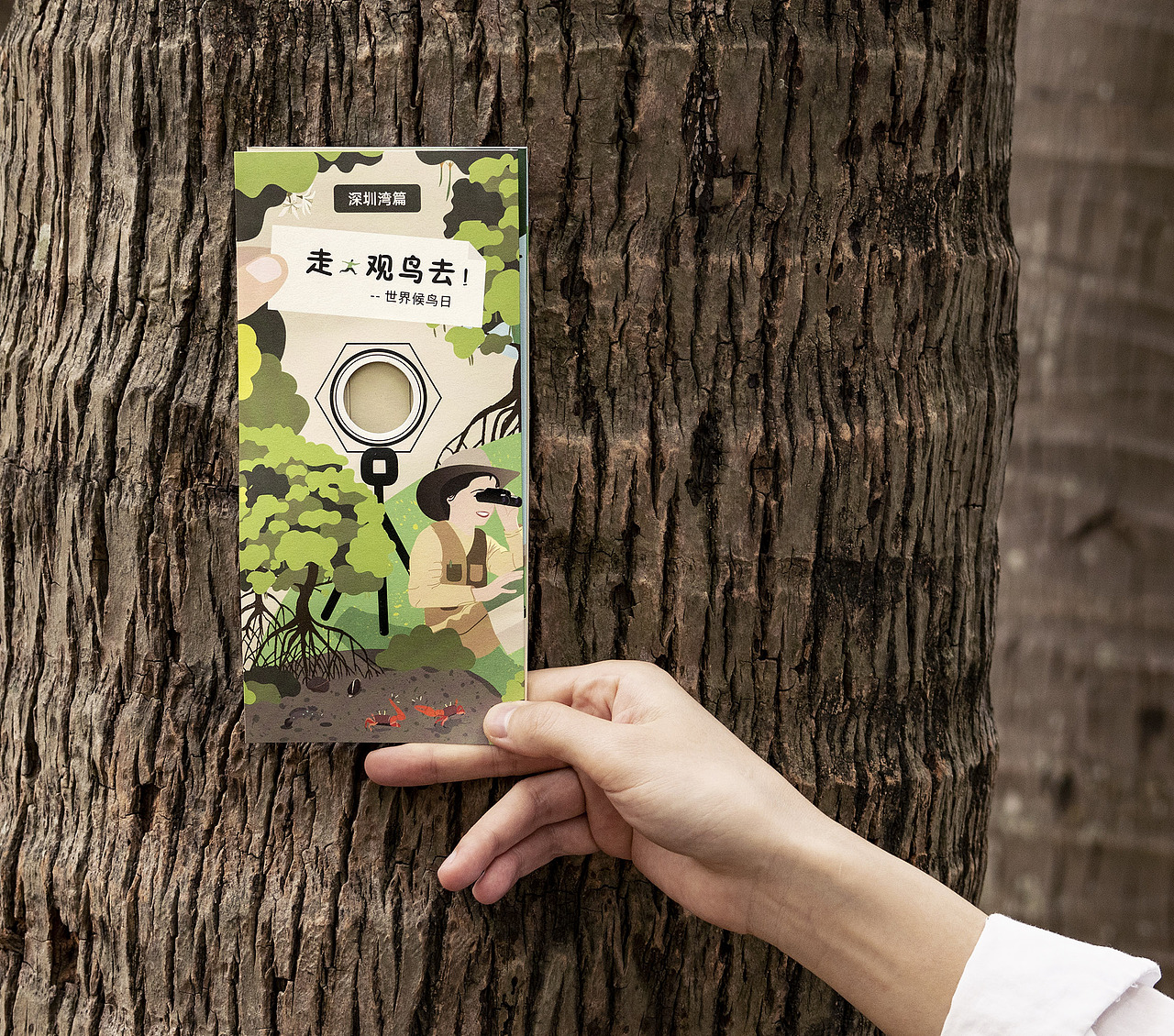 世界候鸟日-观候鸟折页及海报