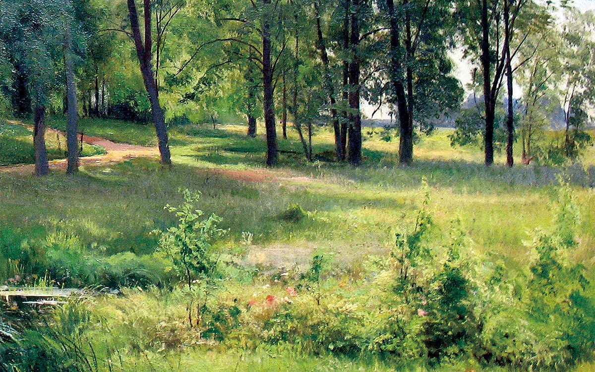 风景油画练习《阳光下的小树林》