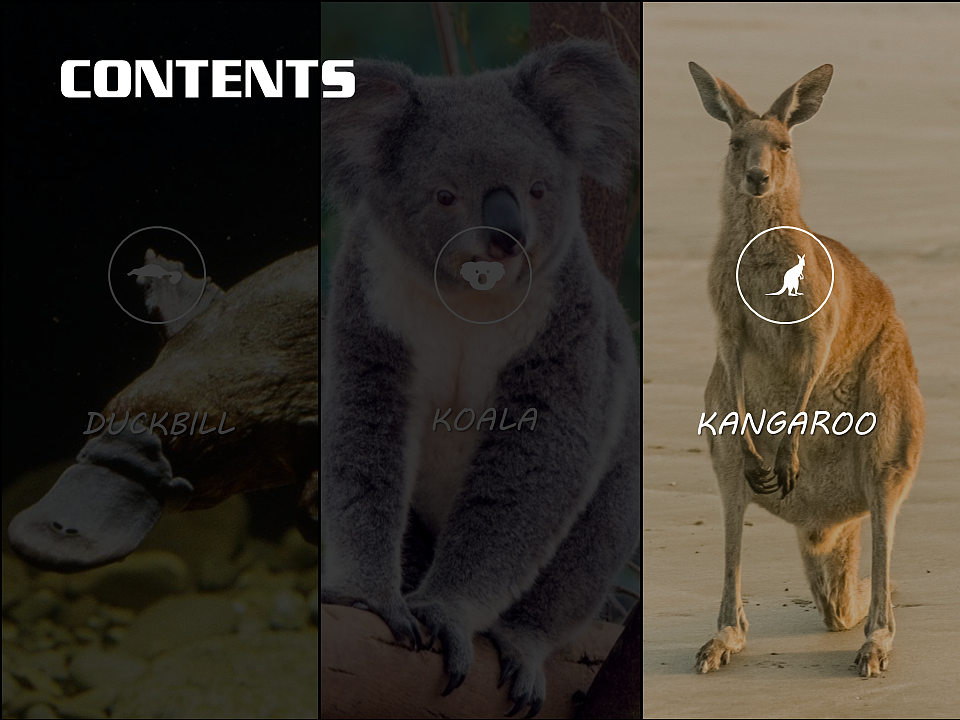 Australian animals