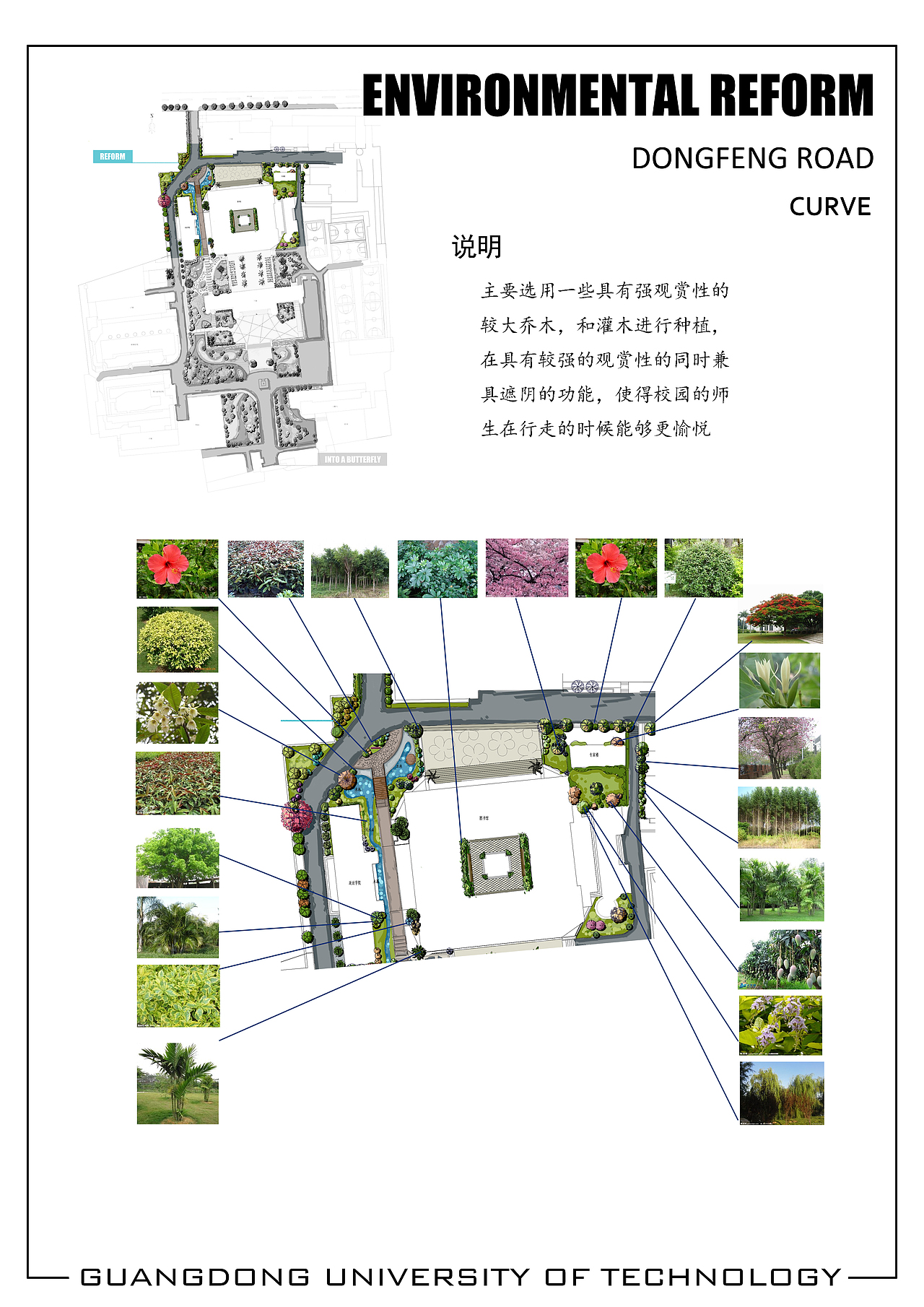 校园植物【作业】