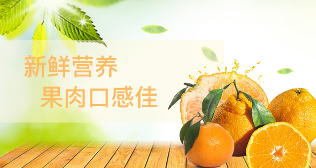 橘子|网页|banner/广告图|小烨子0414 - 原创作品 - 站酷 (zcool)