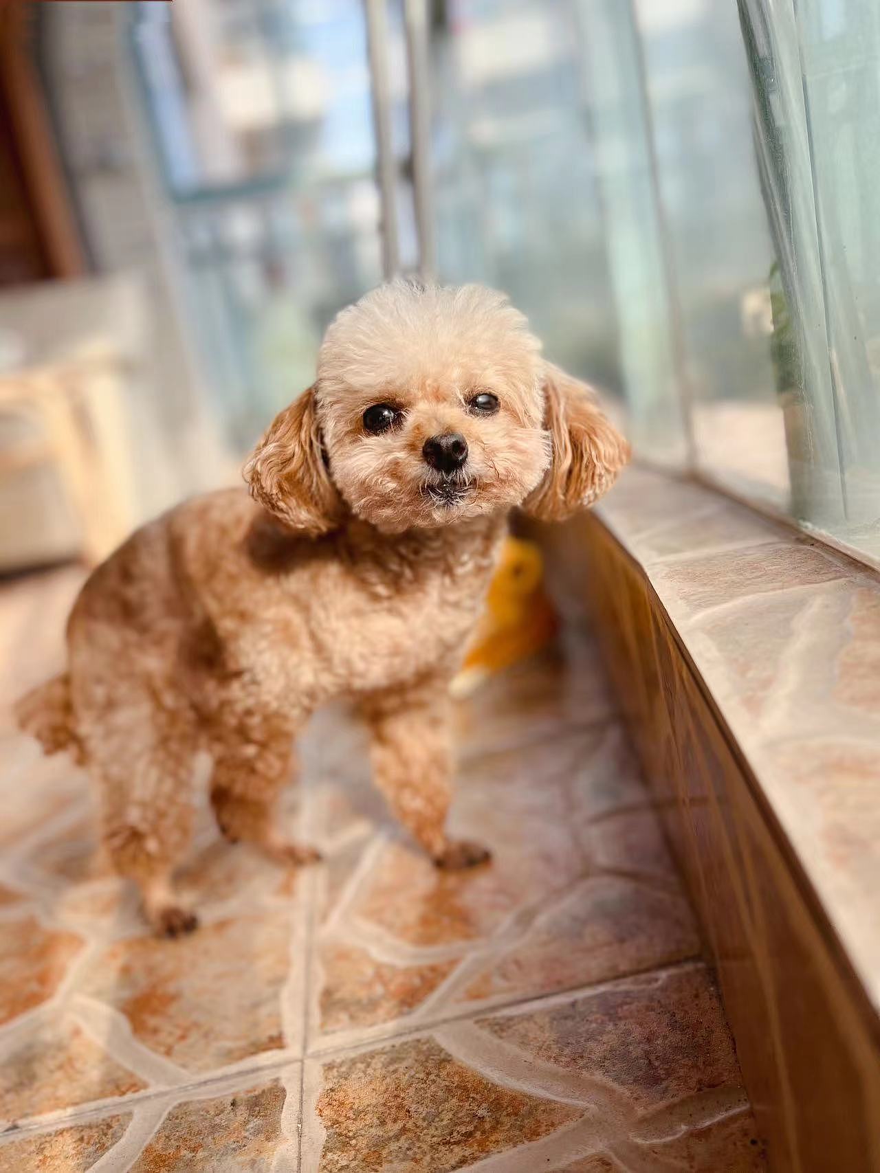 最近最喜欢的皮雕修勾