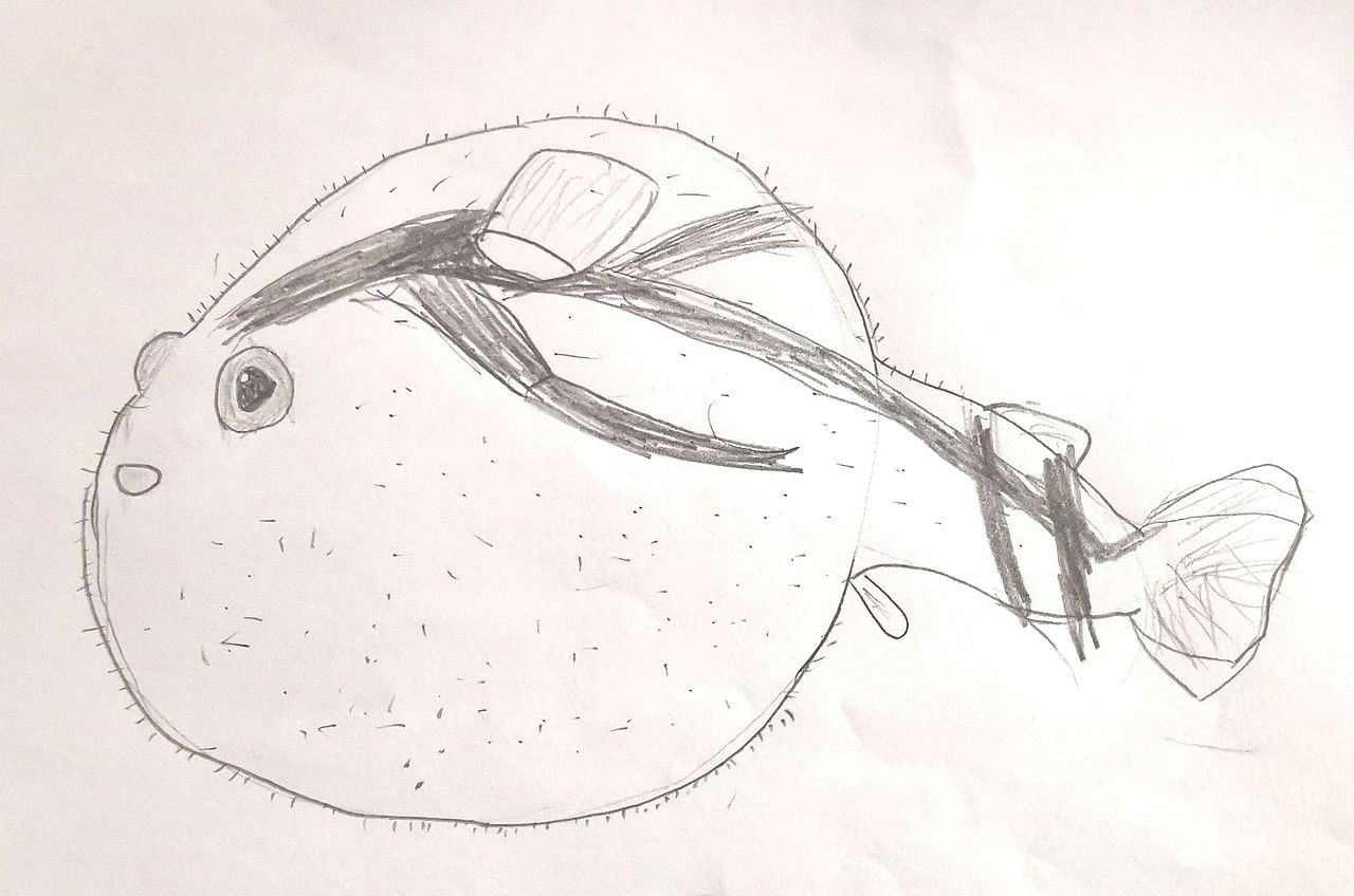 小河豚（图ZMzI5NTMyNjY4） - 儿童插画 - 站酷设计师水果园子LY原创素材 - 站酷ZCOOL