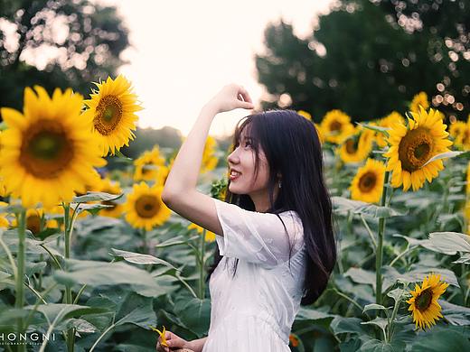 这个季节，向日葵和你一样绽放美丽