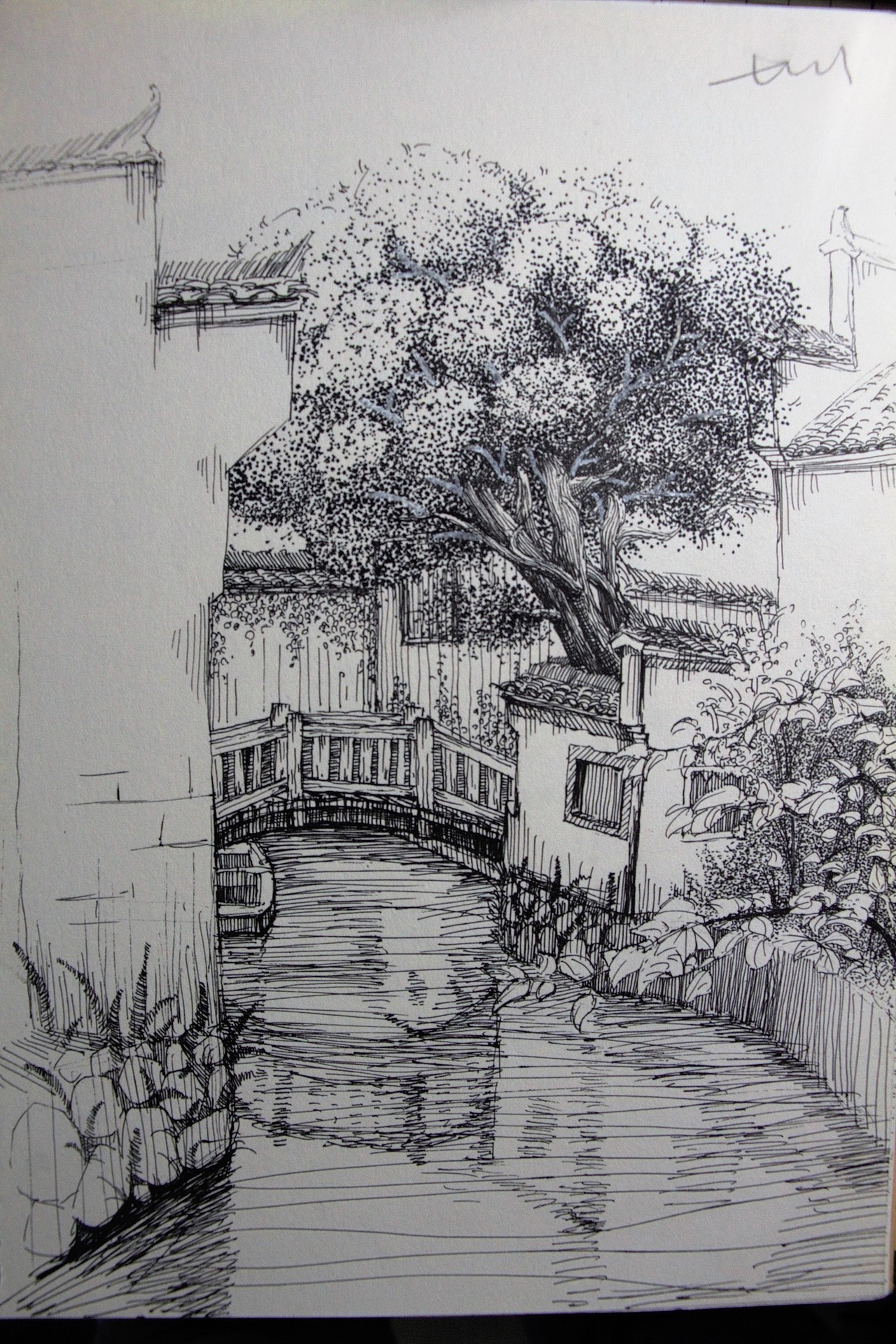 大学时期的黄山写生