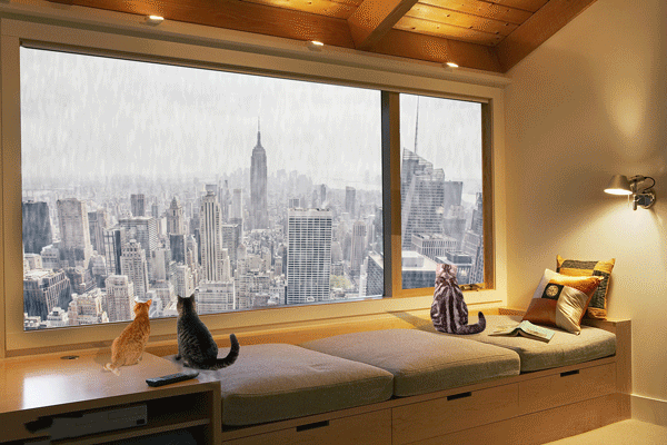 个人初级集合作品整理（图ZMTcxMjEwMzc2） - 图案 - 站酷设计师南阳阁原创素材 - 站酷ZCOOL