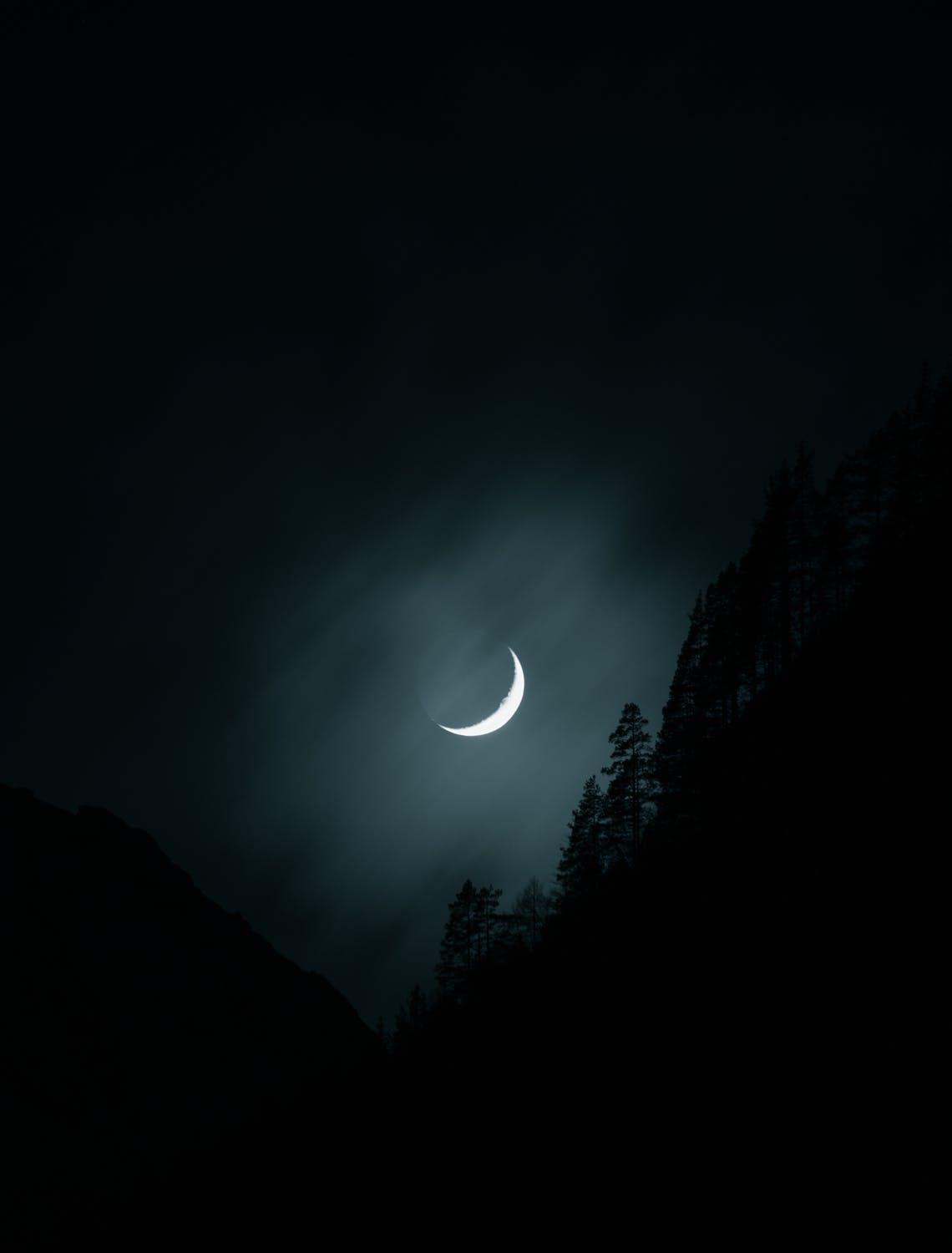 麻辣不烫的个人主页（背景预览） - 主页背景设置 - 站酷设计师麻辣不烫原创素材 - 站酷ZCOOL