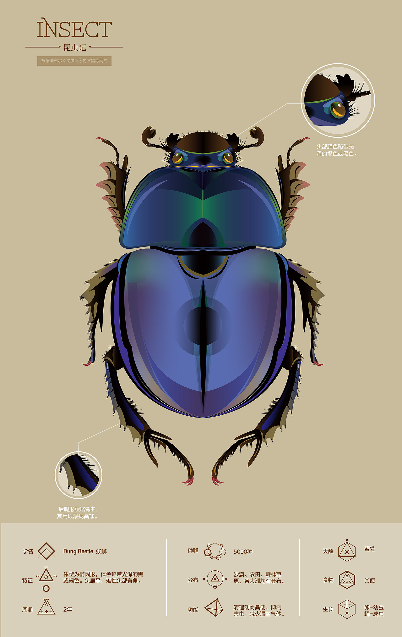 昆虫记_holybird站酷ZCOOL