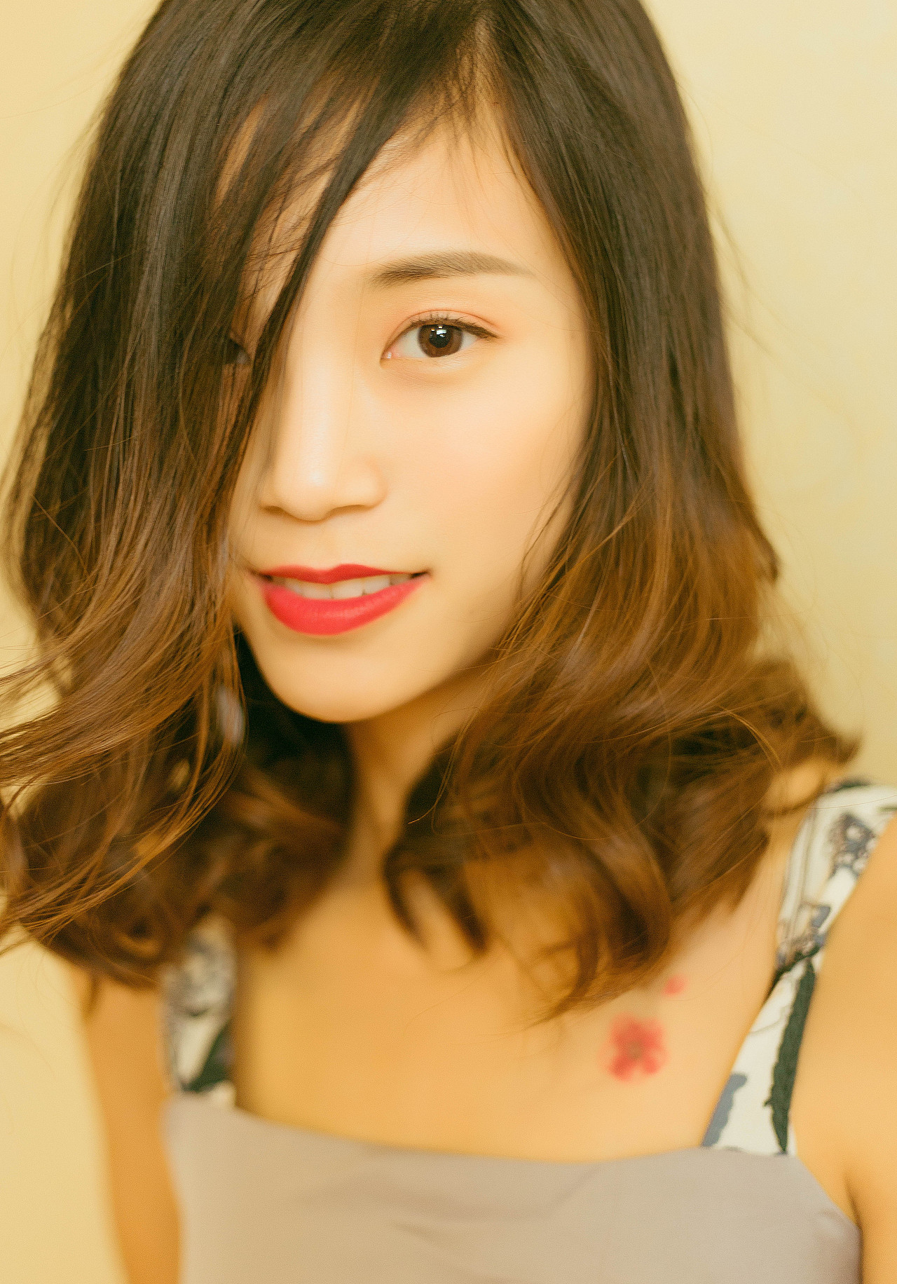 想把你写成一首歌 想养一只猫