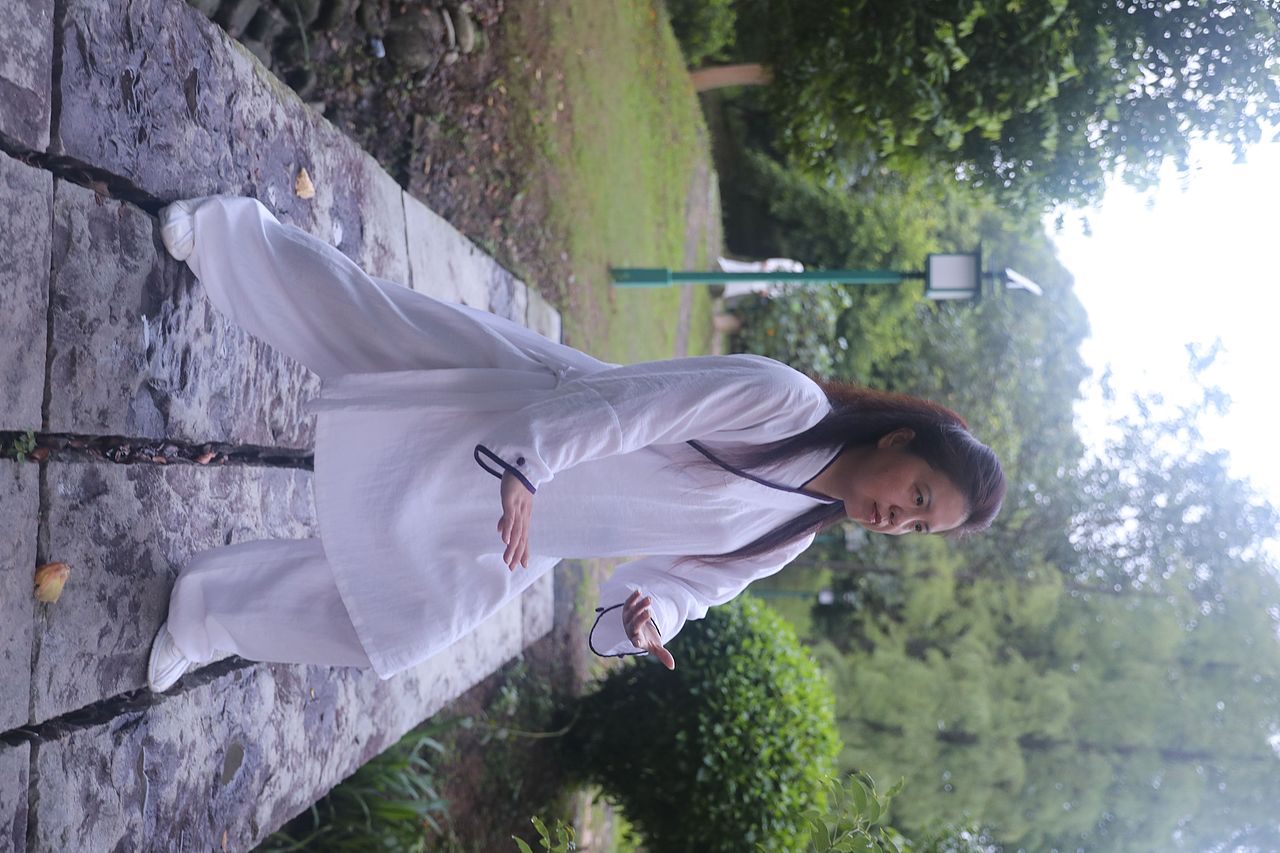 武当道致·理淳