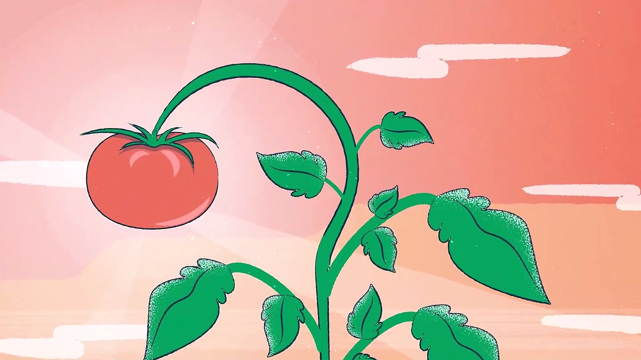 超棒的餐饮手绘风MG动画!