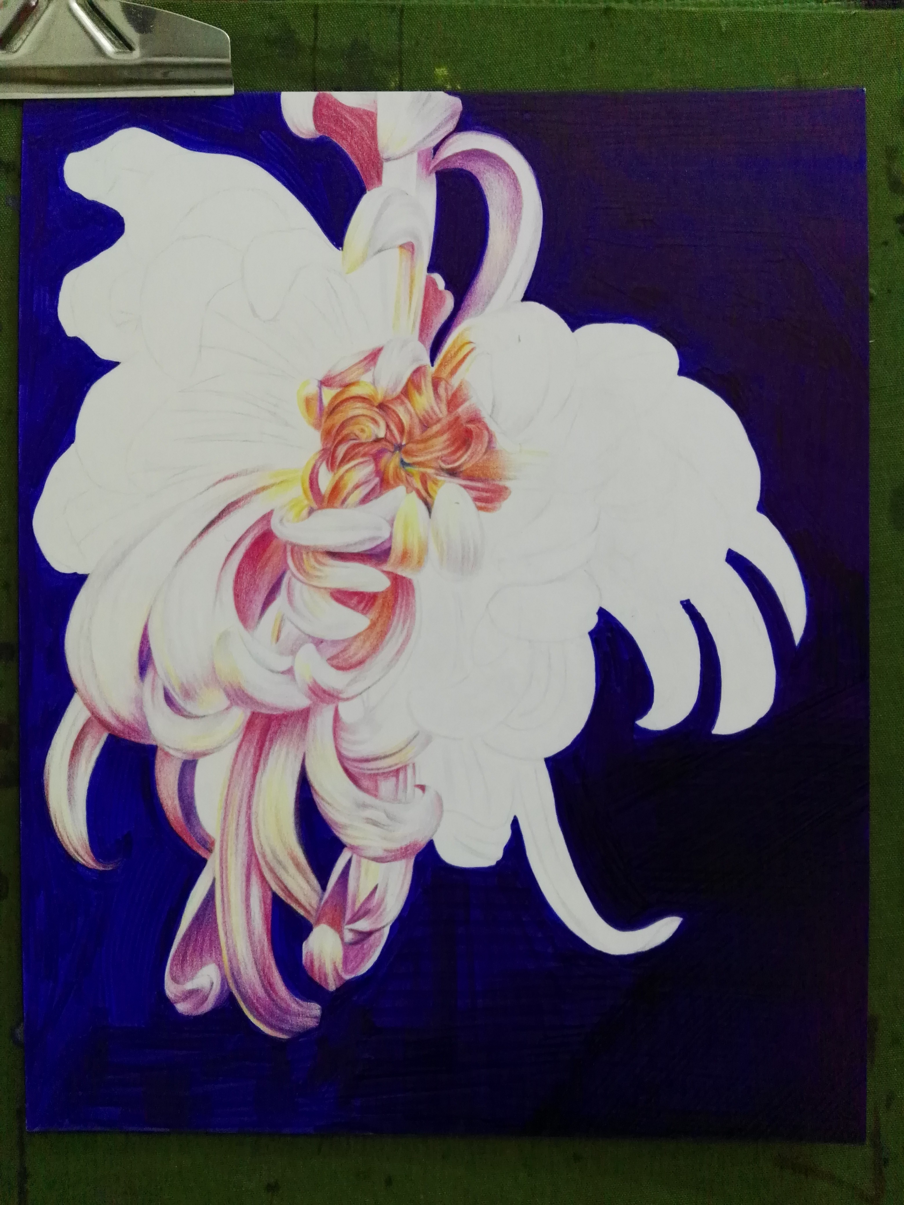 孤菊|纯艺术|绘画|浩轩手绘 - 原创作品 - 站酷 (zcool)