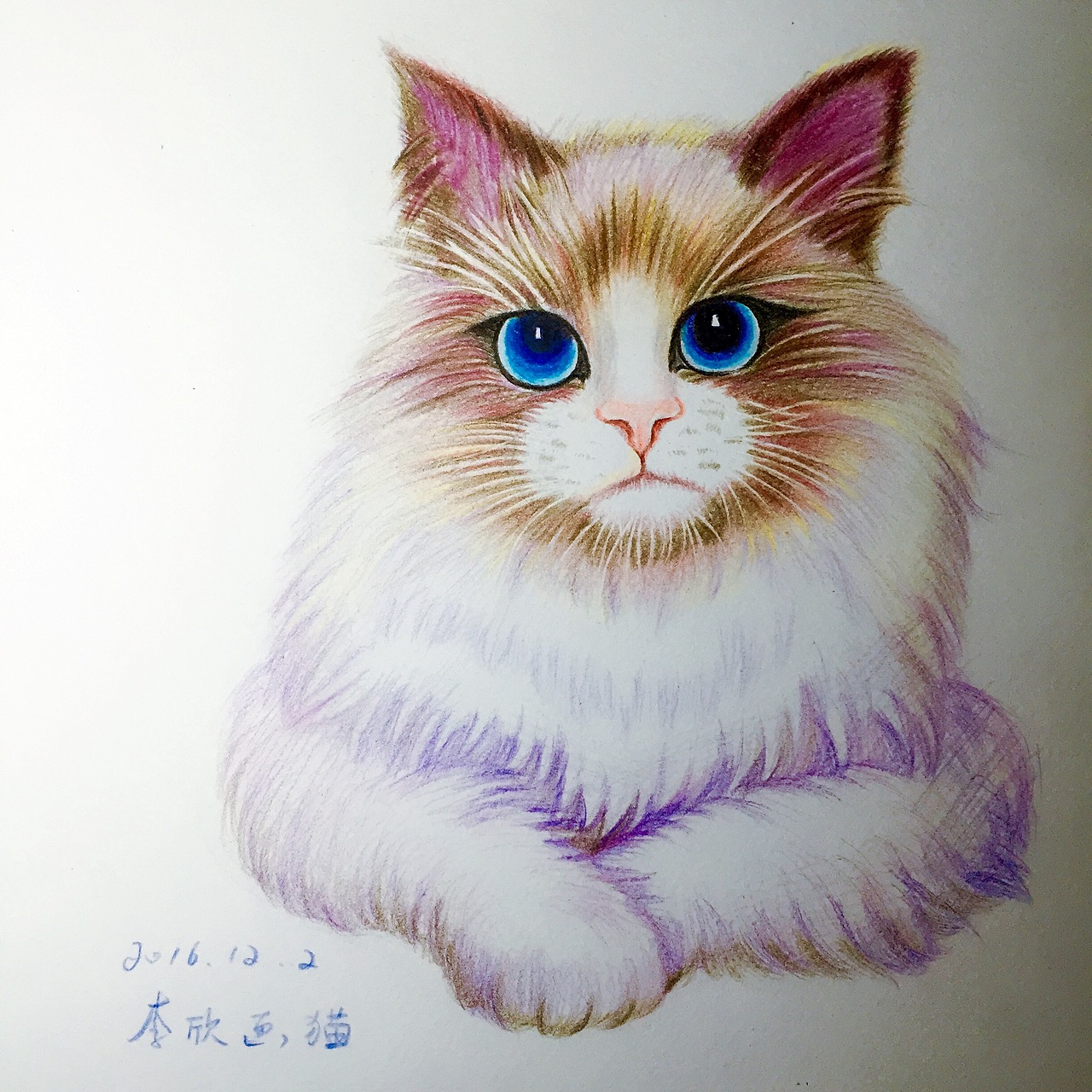 布偶喵（图ZODUxNzUwODg=） - 绘画 - 站酷设计师dora920原创素材 - 站酷ZCOOL