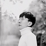 趙啊趙的头像