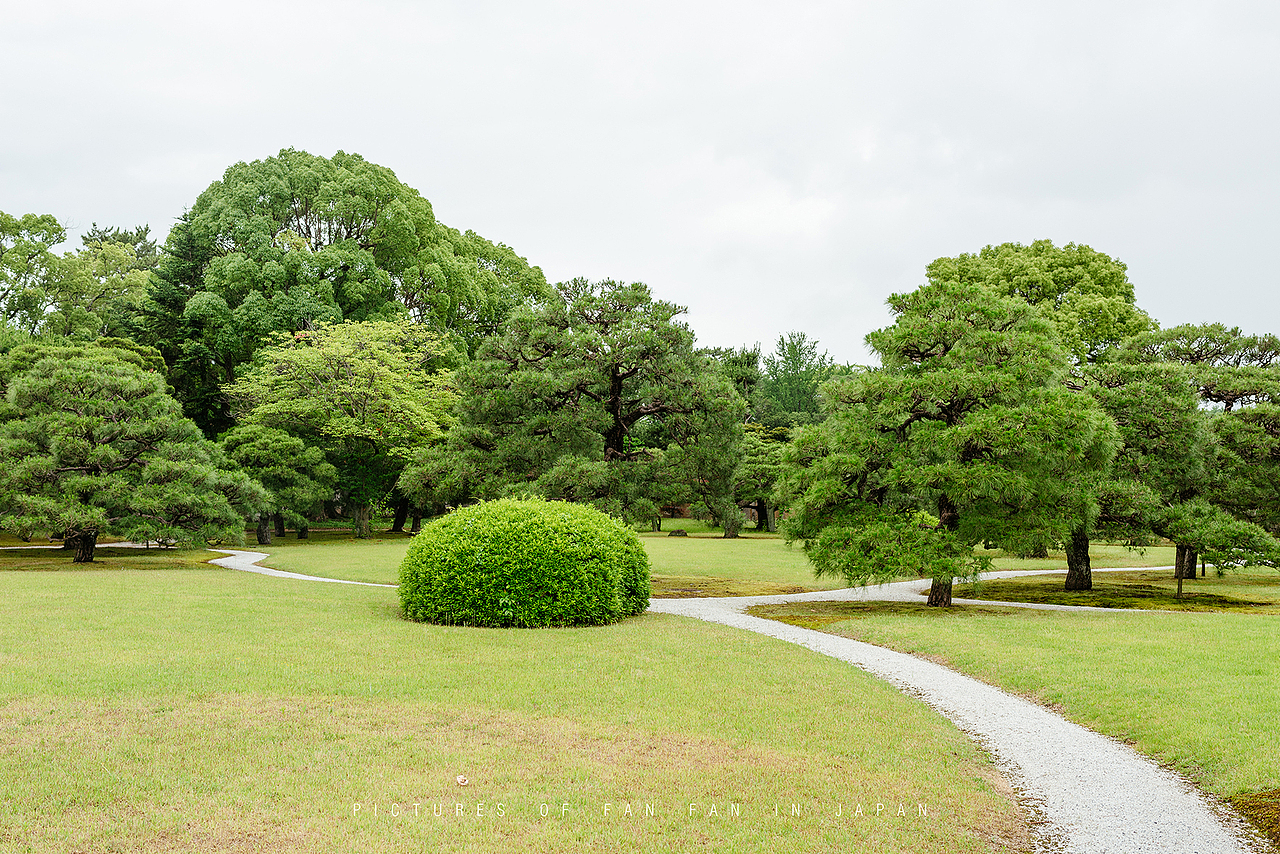 独自一人初涉日本,为期12天的自由行——京都篇(4)