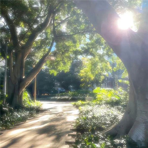 自然（图ZMzU2NjQ3Nzgw） - 风光摄影 - 站酷设计师Z278098892原创素材 - 站酷ZCOOL