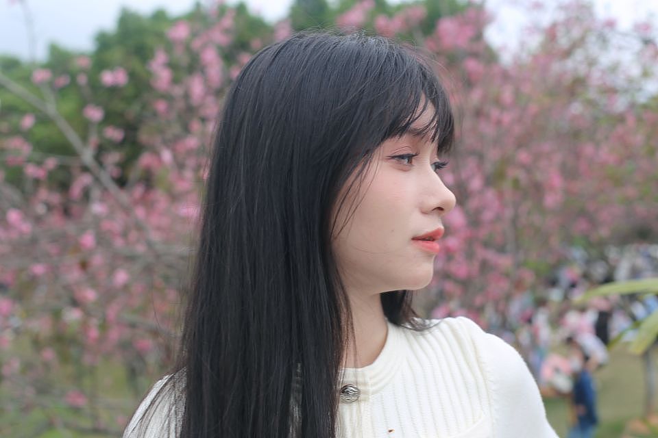 樱花树下的你（图ZMzY0OTkzNjky） - 人像摄影 - 站酷设计师林乙己原创素材 - 站酷ZCOOL