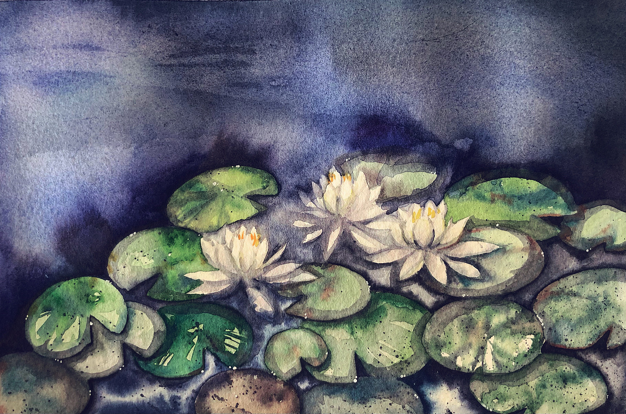 莲Water lili（图ZMjM0NTk4OTQ0） - 绘画 - 站酷设计师EveyZhong原创素材 - 站酷ZCOOL