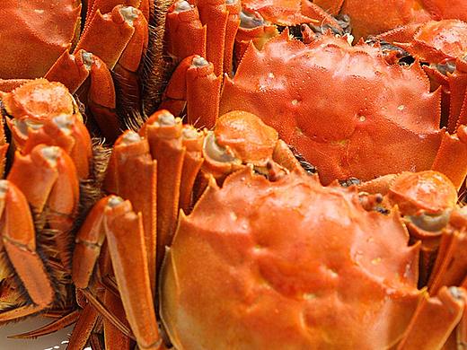 蟹宴（個人主頁-ZMjUxNTE3ODg=） - 宣傳物料 - 站酷設計師大昌原創(chuàng)素材 - 站酷ZCOOL