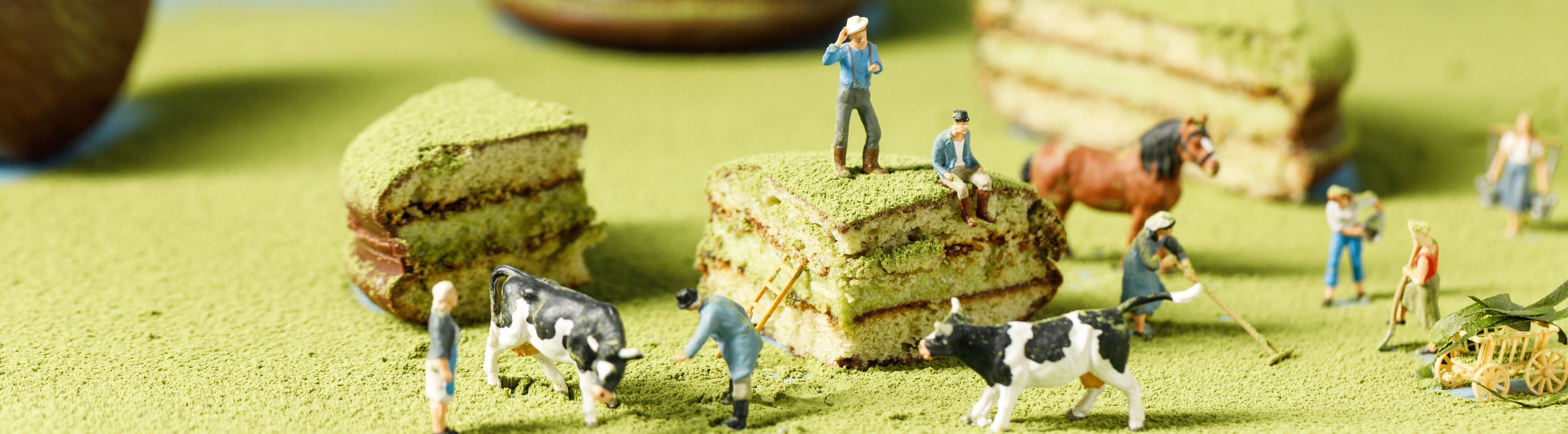 美食摄影师灰宝的个人主页（封面预览） - 主页封面设置 - 站酷设计师美食摄影师灰宝原创素材 - 站酷ZCOOL