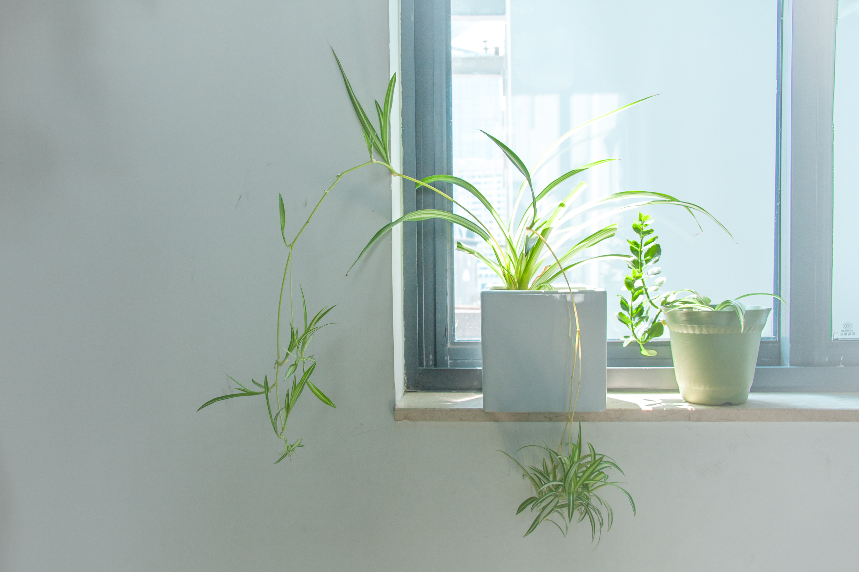 小瓷熊的個(gè)人主頁(yè)（封面預(yù)覽） - 主頁(yè)封面設(shè)置 - 站酷設(shè)計(jì)師小瓷熊原創(chuàng)素材 - 站酷ZCOOL