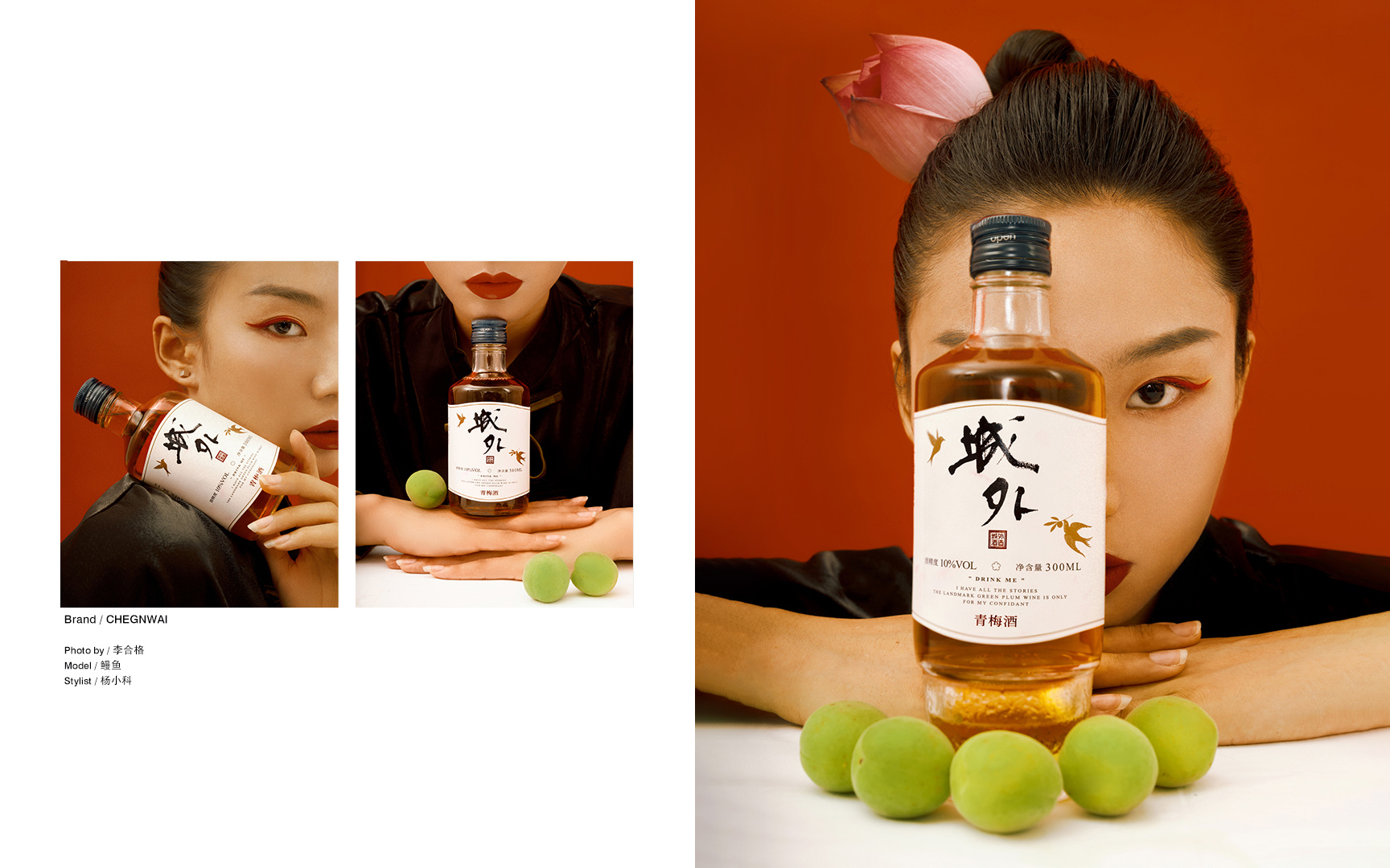 城外青梅酒-红墙黛瓦国潮宣传画册