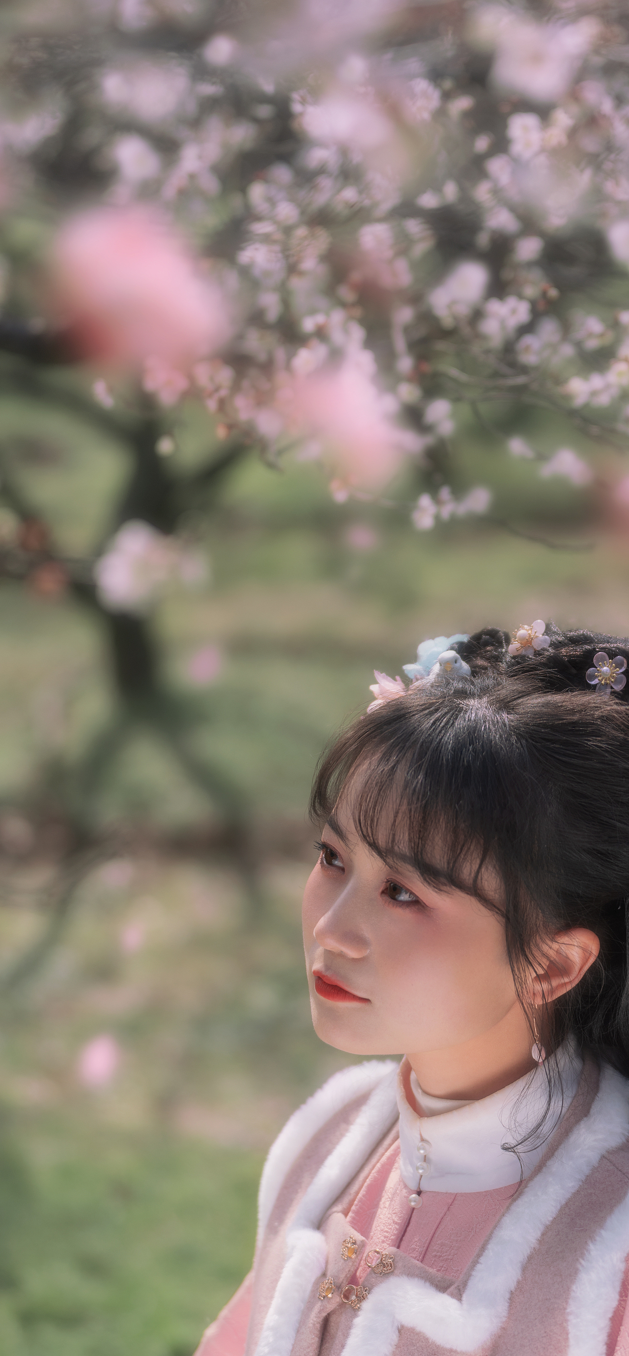 汉服与花季·记于东湖梅园（图ZMjkxMTk5NzI4） - 人像摄影 - 站酷设计师kroos丶原创素材 - 站酷ZCOOL