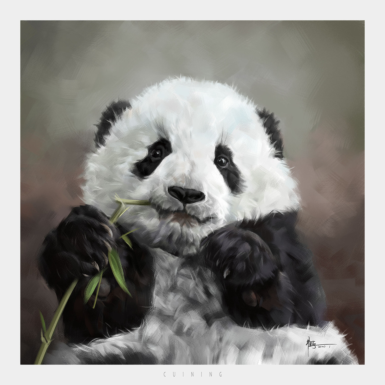 大熊猫插画|插画|插画习作|SSSHARK - 原创作品 - 站酷 (ZCOOL)