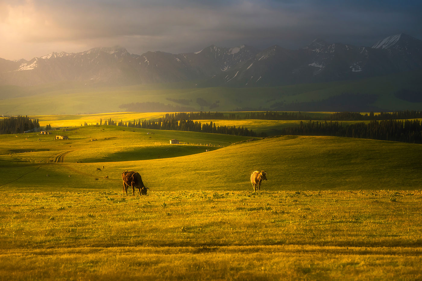 小周視覺(jué)的個(gè)人主頁(yè)（背景預(yù)覽） - 主頁(yè)背景設(shè)置 - 站酷設(shè)計(jì)師小周視覺(jué)原創(chuàng)素材 - 站酷ZCOOL