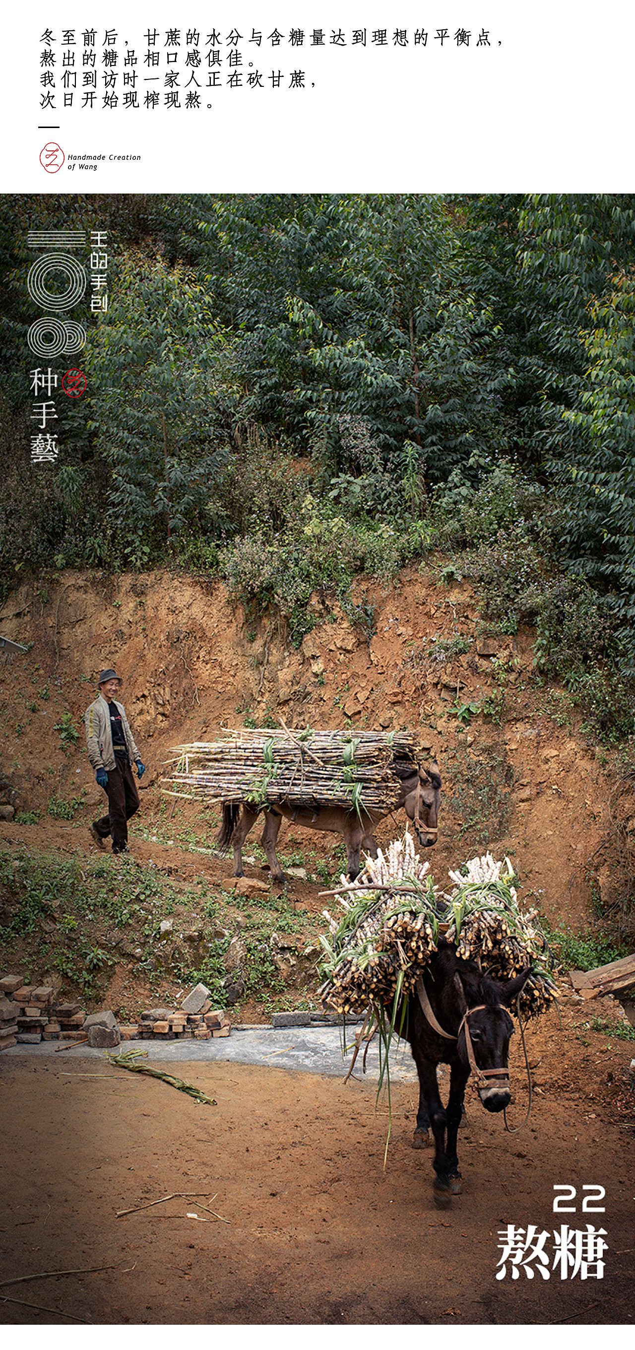 “熬糖”—草木之中的甘甜