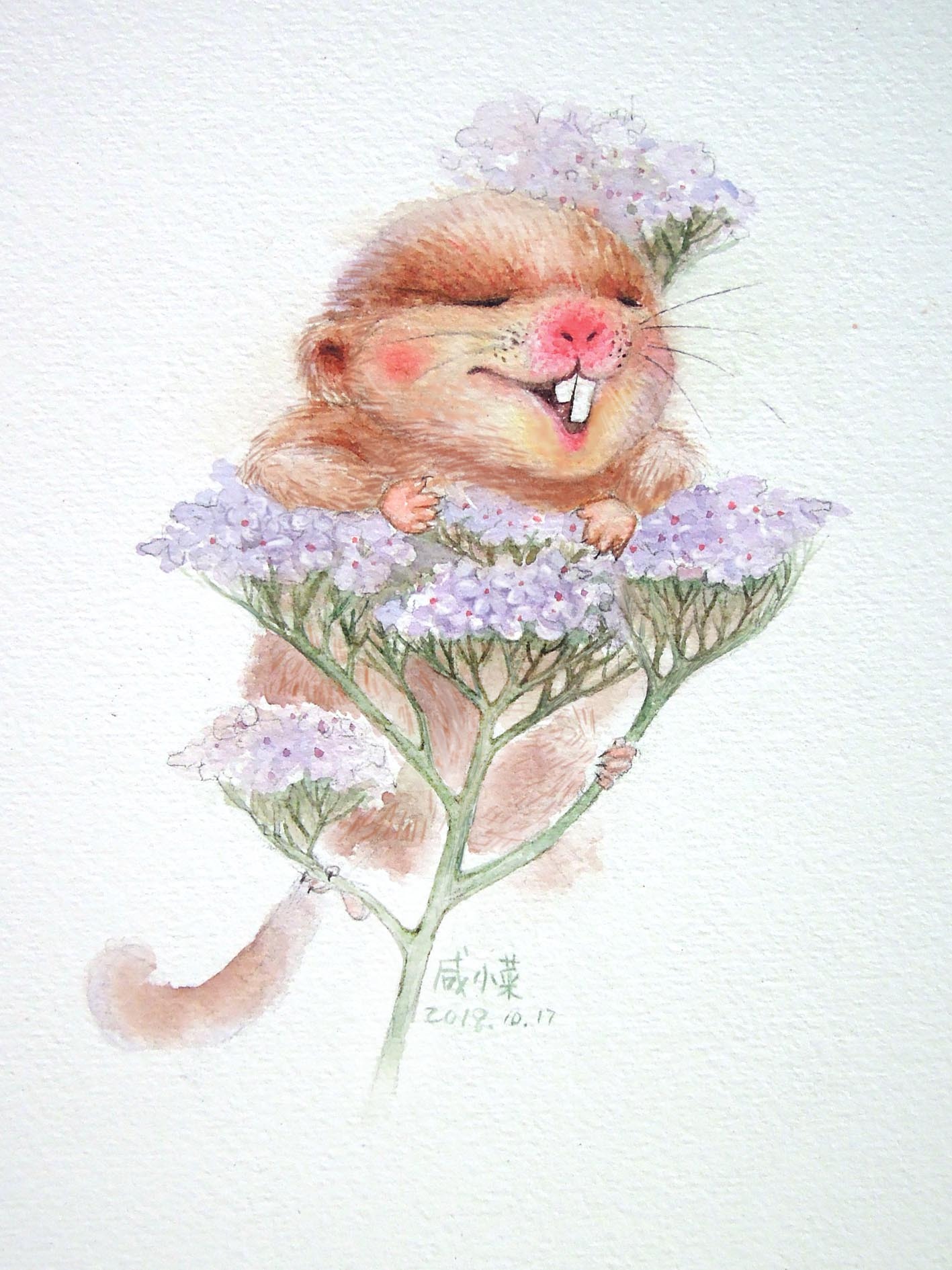水彩手绘插画--龅牙鼠