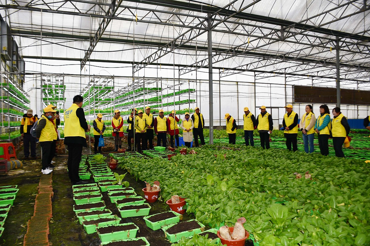 黄篮子生鲜连锁图片素材库 - 站酷图片网