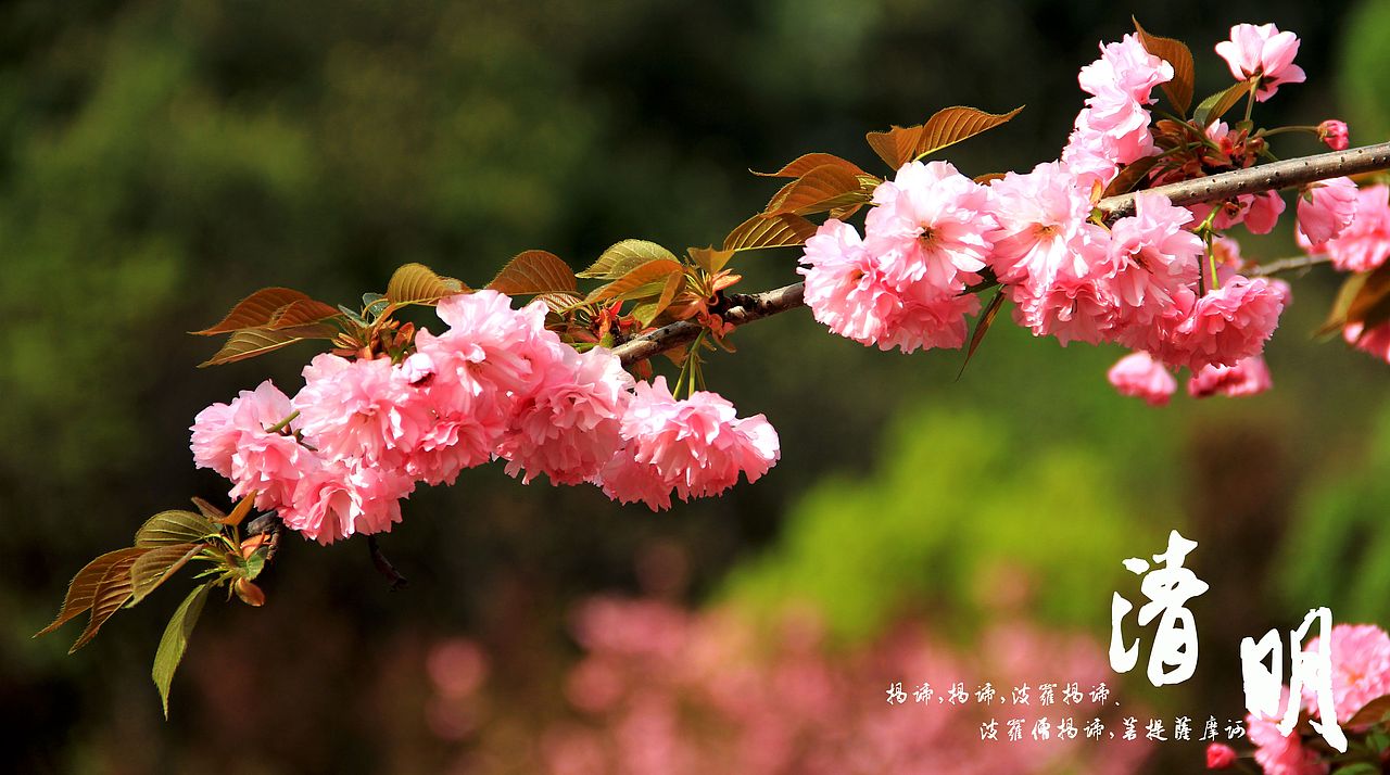 大桥下的石头（图ZODkzMzkzNg==） - 风光摄影 - 站酷设计师半道子原创素材 - 站酷ZCOOL