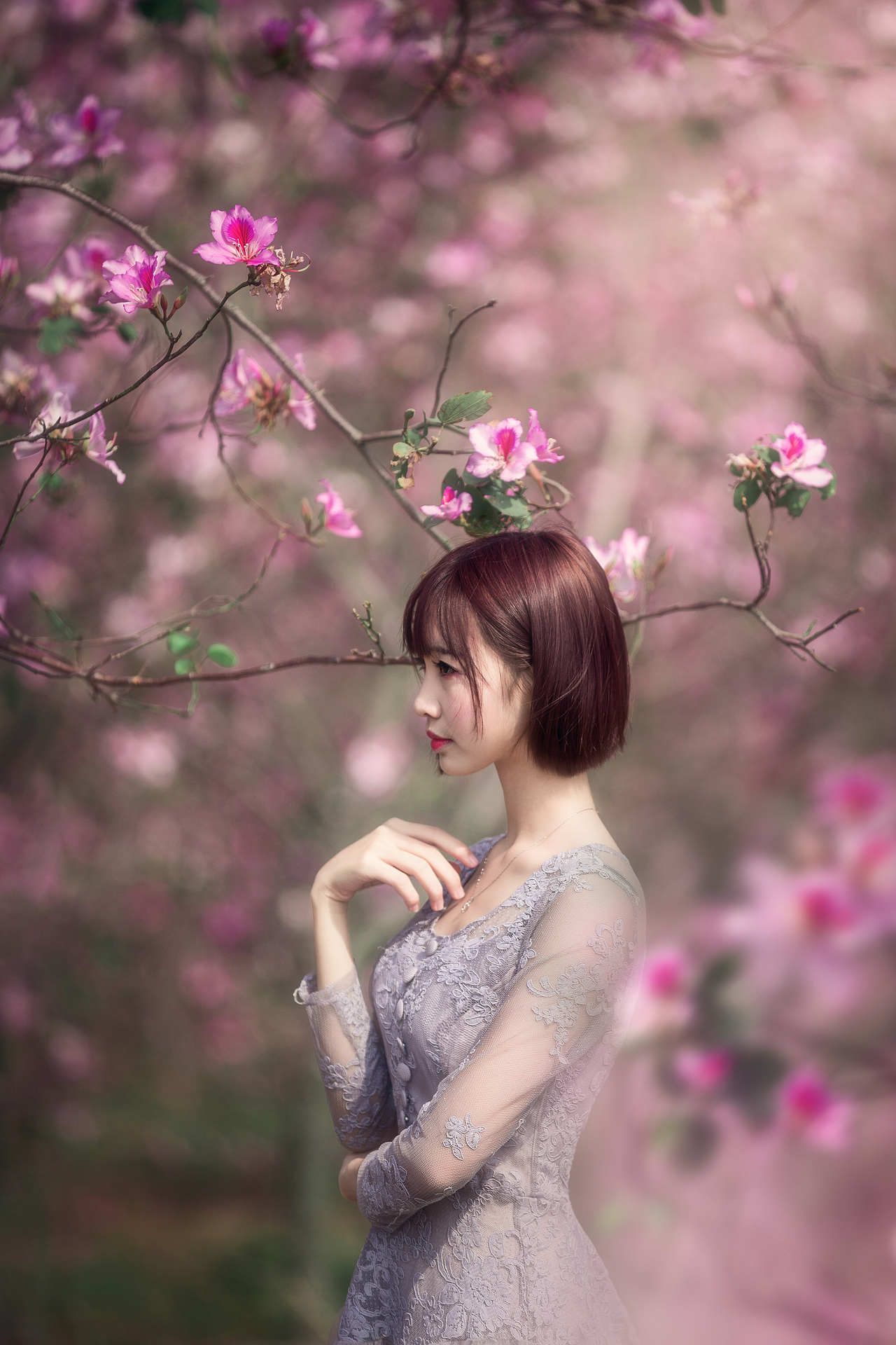 唯美柔和紫荆花人像