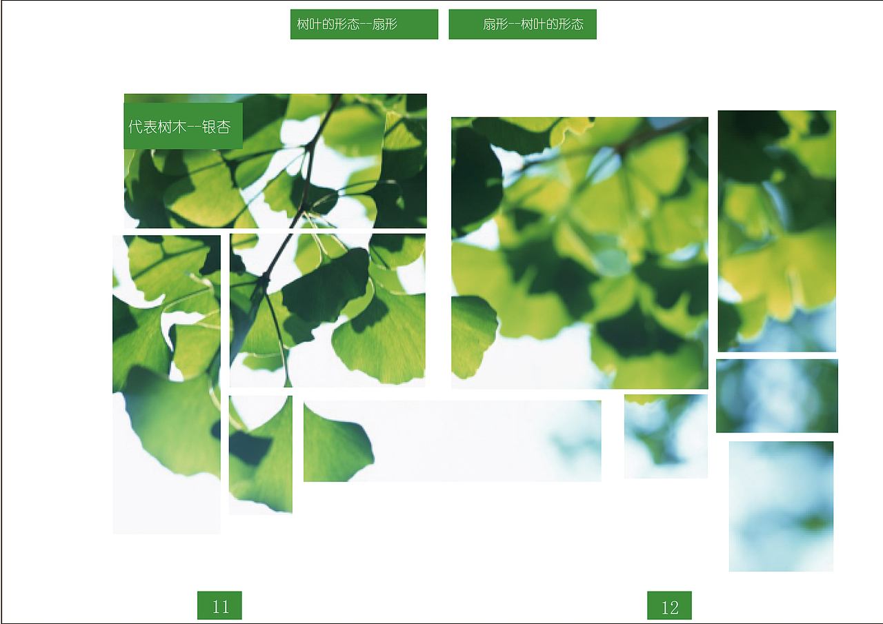 书籍设计（图ZMjQ0MDUwNTc2） - 书籍/画册 - 站酷设计师青蛙小丸子原创素材 - 站酷ZCOOL