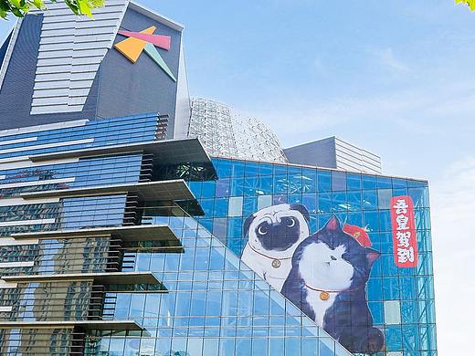 2017吾皇万睡全国巡展【辉联文化出品】