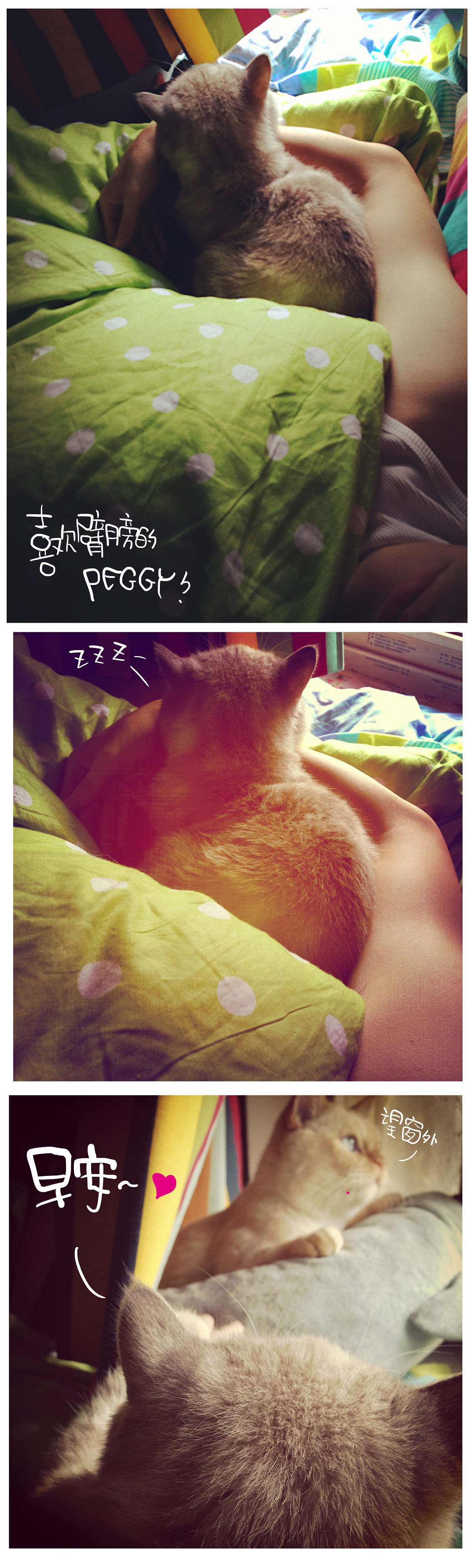 我的家的二大宝新专辑!《拜基vs反丁》~啊哈哈最新弹~