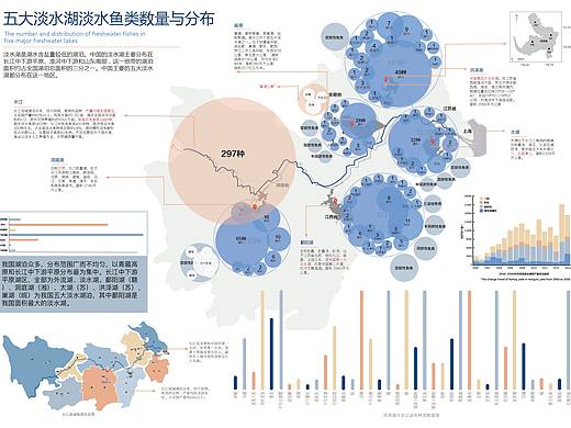 中国五大淡水湖淡水鱼类数量与分布（个人主页-ZNDg4ODMwODQ=） - 信息图表 - 站酷设计师青稞499原创素材 - 站酷ZCOOL